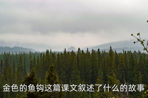 金這篇課文是一篇什么文，金子這篇課文使我們懂得了什么道理
