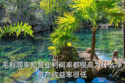 資產(chǎn)凈利率較低是為什么，為什么利潤率高資產(chǎn)收益率卻低