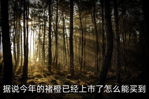 據說今年的褚橙已經上市了怎么能買到