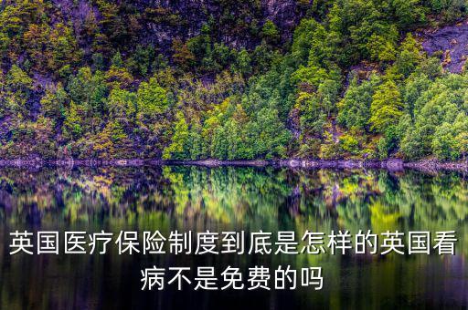 英國醫療保險制度到底是怎樣的英國看病不是免費的嗎