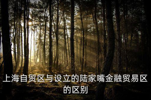 上海自貿區與設立的陸家嘴金融貿易區的區別