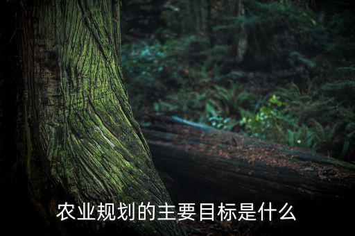 農業規劃的主要目標是什么