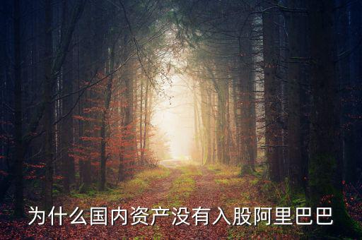 當初為什么沒投阿里巴巴，為什么國內資產沒有入股阿里巴巴