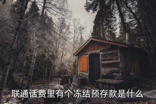凍結預存款是什么意思，聯通話費里有個凍結預存款是什么