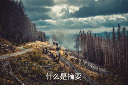 創業摘要是什么，什么是摘要