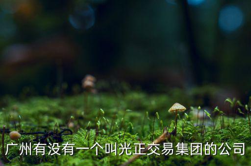 光正集團股票公司主要生產什么，光正集團股票是做什么板塊的