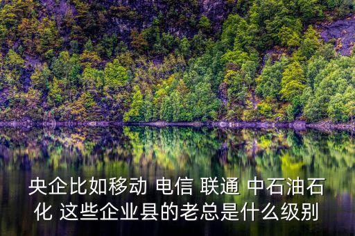 央企比如移動 電信 聯通 中石油石化 這些企業縣的老總是什么級別
