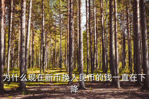 為什么現在新幣換人民幣的錢一直在下降