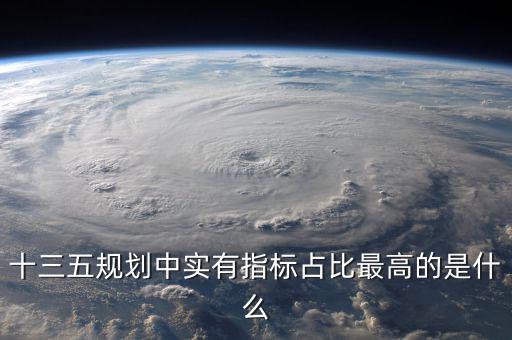 十三五規劃中實有指標占比最高的是什么