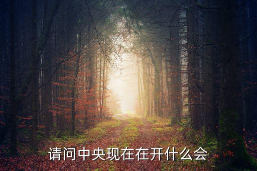 請問中央現在在開什么會