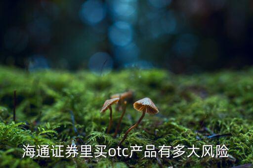 海通證券里買(mǎi)otc產(chǎn)品有多大風(fēng)險(xiǎn)