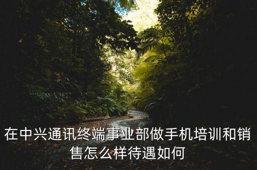 在中興通訊終端事業部做手機培訓和銷售怎么樣待遇如何