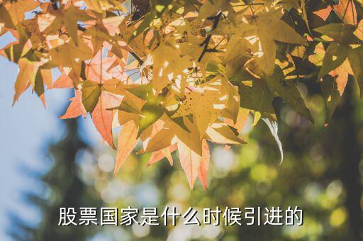 股票什么時(shí)候引進(jìn)的，股票國(guó)家是什么時(shí)候引進(jìn)的