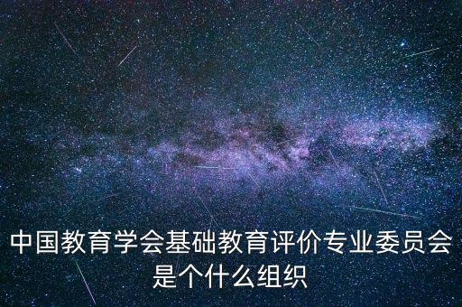 中國教育學會基礎教育評價專業委員會是個什么組織