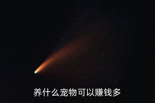 養什么寵物可以賺錢多