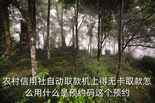 農(nóng)行預約碼是什么，農(nóng)商銀行預約取款預約碼是什么