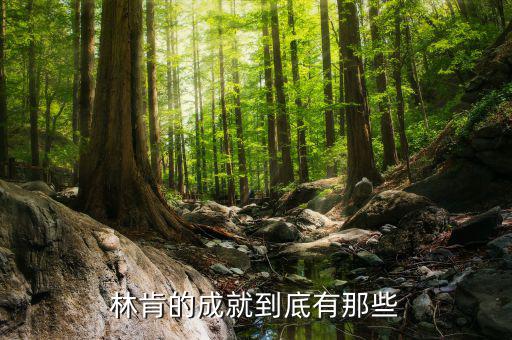林肯的業績有什么，華盛頓林肯共同歷史功績