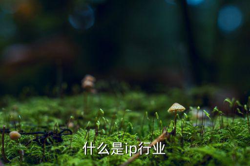 什么是ip行業