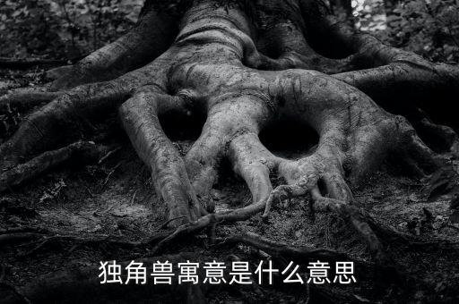 牛牛考資獨角獸版是什么意思，股票里獨角獸概念是什么意思