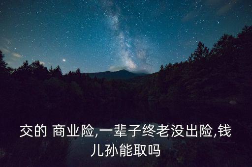 交的 商業險,一輩子終老沒出險,錢兒孫能取嗎