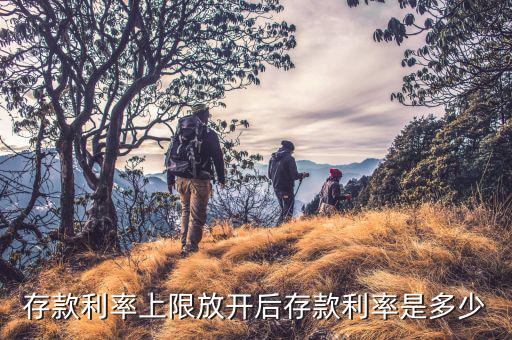 存款上限放開(kāi)什么時(shí)候，各大商業(yè)銀行放開(kāi)存款上限有什么政策