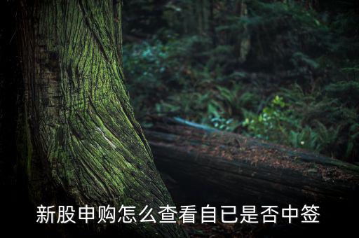 新股申購怎么查看自已是否中簽