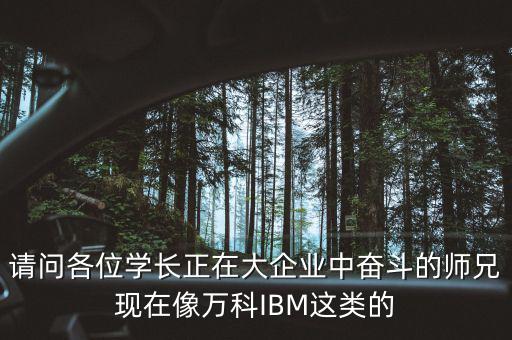 請問各位學長正在大企業中奮斗的師兄現在像萬科IBM這類的