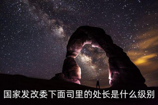 國家發改委下面司里的處長是什么級別