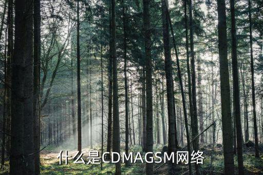 電信cdma是什么網絡，cdma是什么網絡