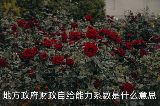 地方政府財政自給能力系數是什么意思