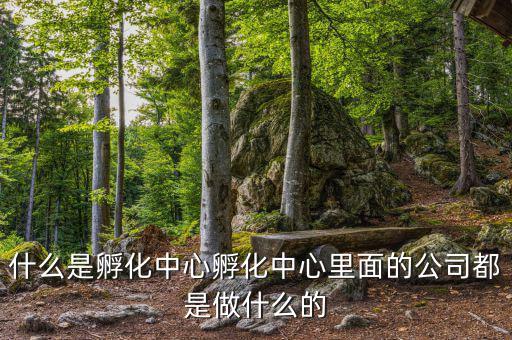 信隆實業是做什么的，什么是孵化中心孵化中心里面的公司都是做什么的