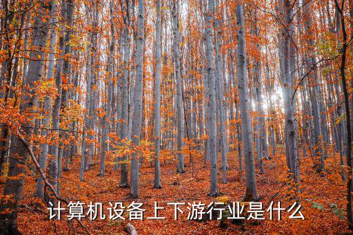 什么是計(jì)算機(jī)上游行業(yè)，軟件行業(yè)的上下游行業(yè)有哪些