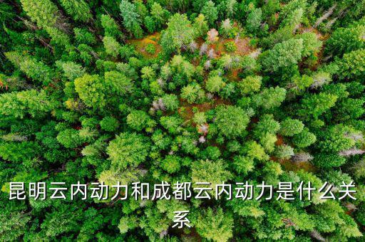 云南云內動力是什么性質，什么是云內發動機
