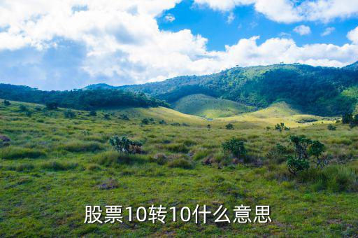 股票10送10轉10是什么意思，股市什么是10送10