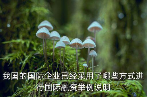 我國的國際企業已經采用了哪些方式進行國際融資舉例說明