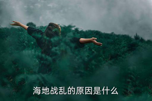 海地戰亂的原因是什么