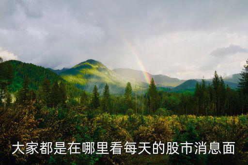 每天的股票信息看什么網站，大家都是在哪里看每天的股市消息面