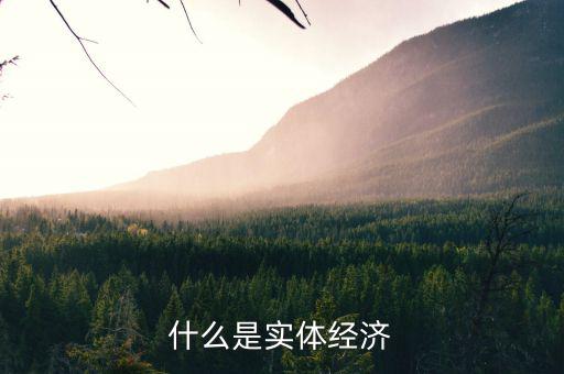 什么是實體經濟