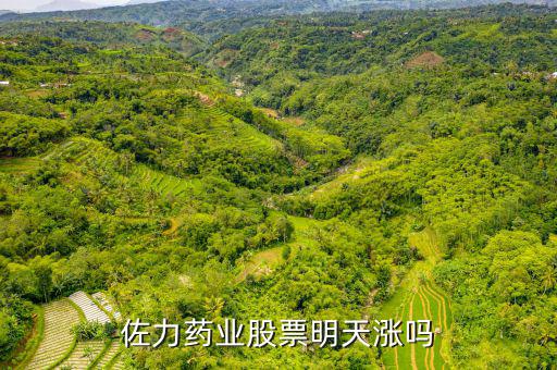 佐力藥業股票明天漲嗎