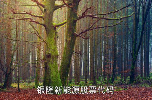 銀龍股份什么時候上市，銀隆新能源股票代碼
