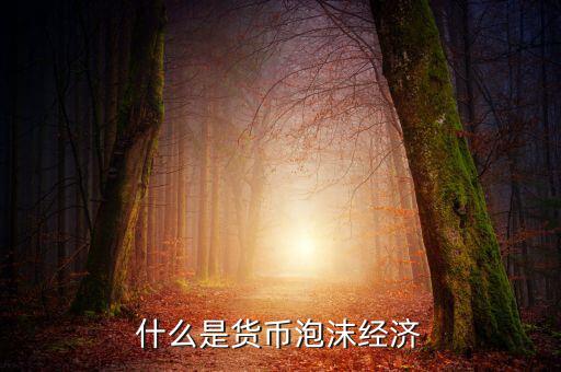 信貸泡沫是什么，什么是金融泡沫