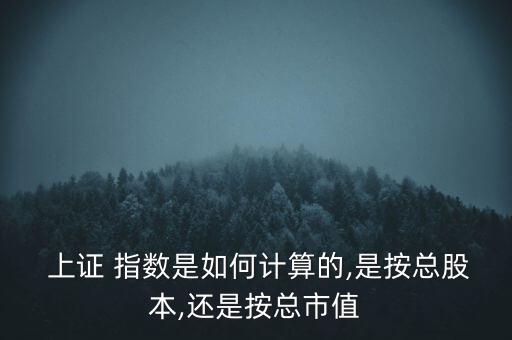  上證 指數是如何計算的,是按總股本,還是按總市值