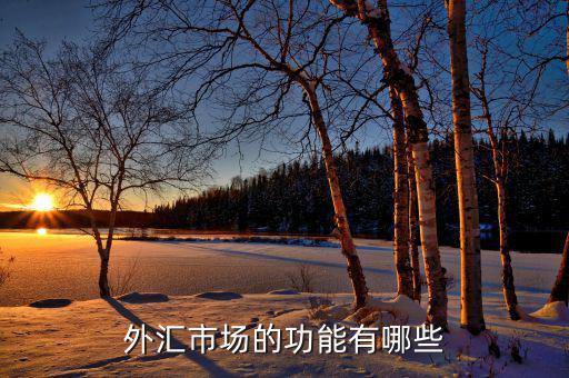 外匯有什么用，外匯市場的功能有哪些