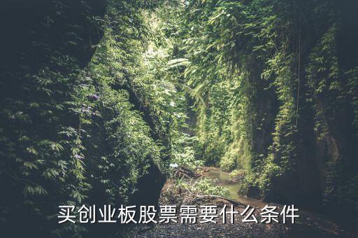 買創業板股票需要什么條件