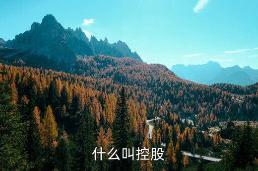 什么是控股關系，什么叫控股