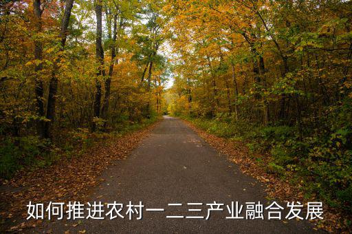 如何推進農村一二三產業融合發展