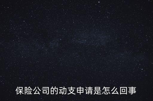 什么是動支申請，怎么樣支申請