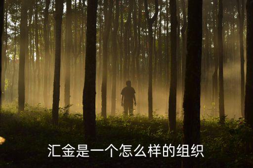 中央匯金干什么的，匯金是一個怎么樣的組織