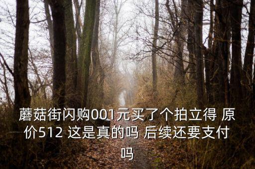 蘑菇街閃購001元買了個拍立得 原價512 這是真的嗎 后續還要支付嗎