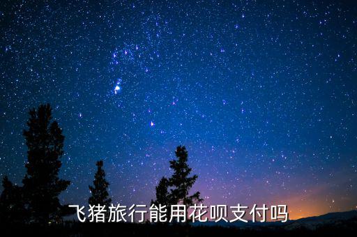 阿里巴巴abs什么時候推出的，交易貓可以用螞蟻花唄支付嗎